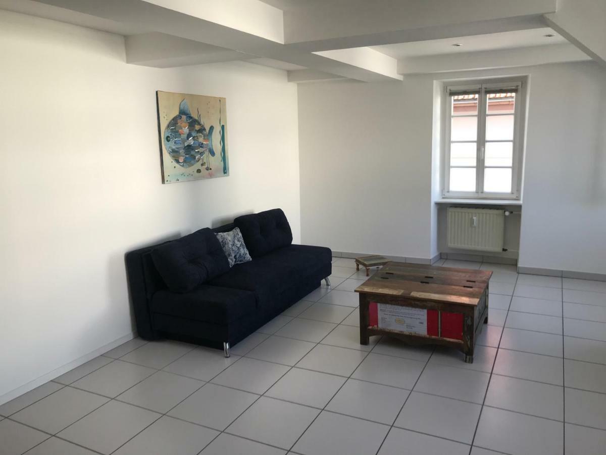Apartmán Muench 10 Kaiserslautern Exteriér fotografie